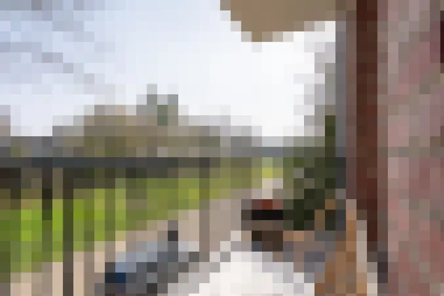 Boeimeerlaan 74 A Breda thumbnail 15