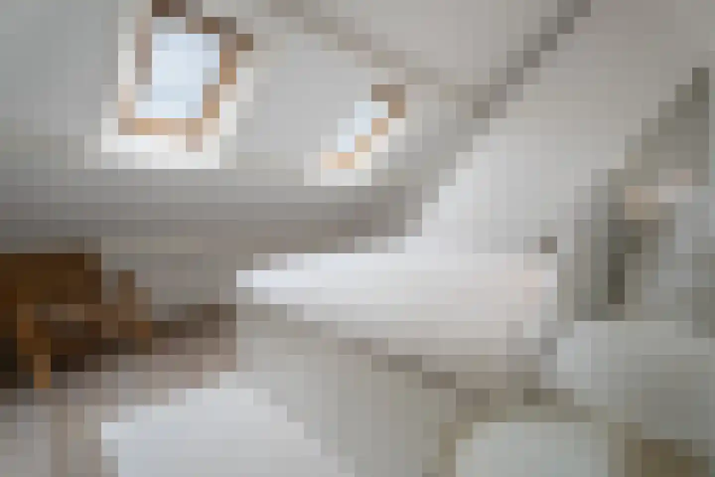 Boeimeerlaan 78 B Breda thumbnail 21