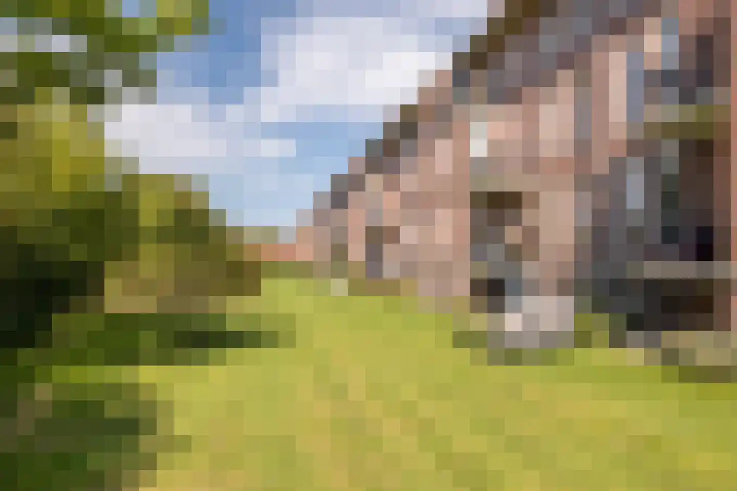Boeimeerlaan 78 B Breda thumbnail 37