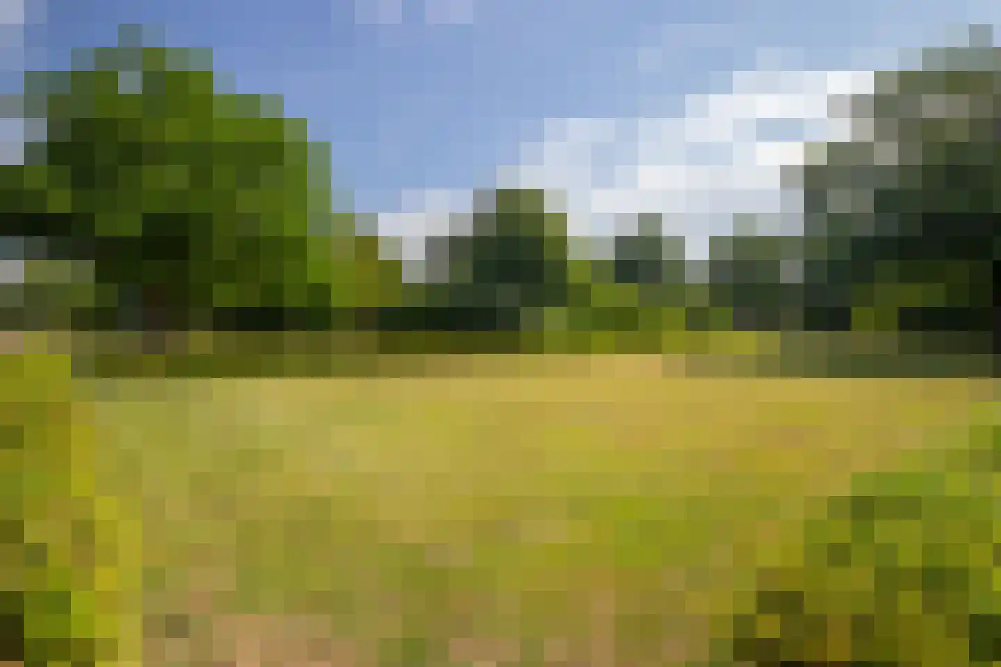 Boeimeerlaan 78 B Breda thumbnail 39