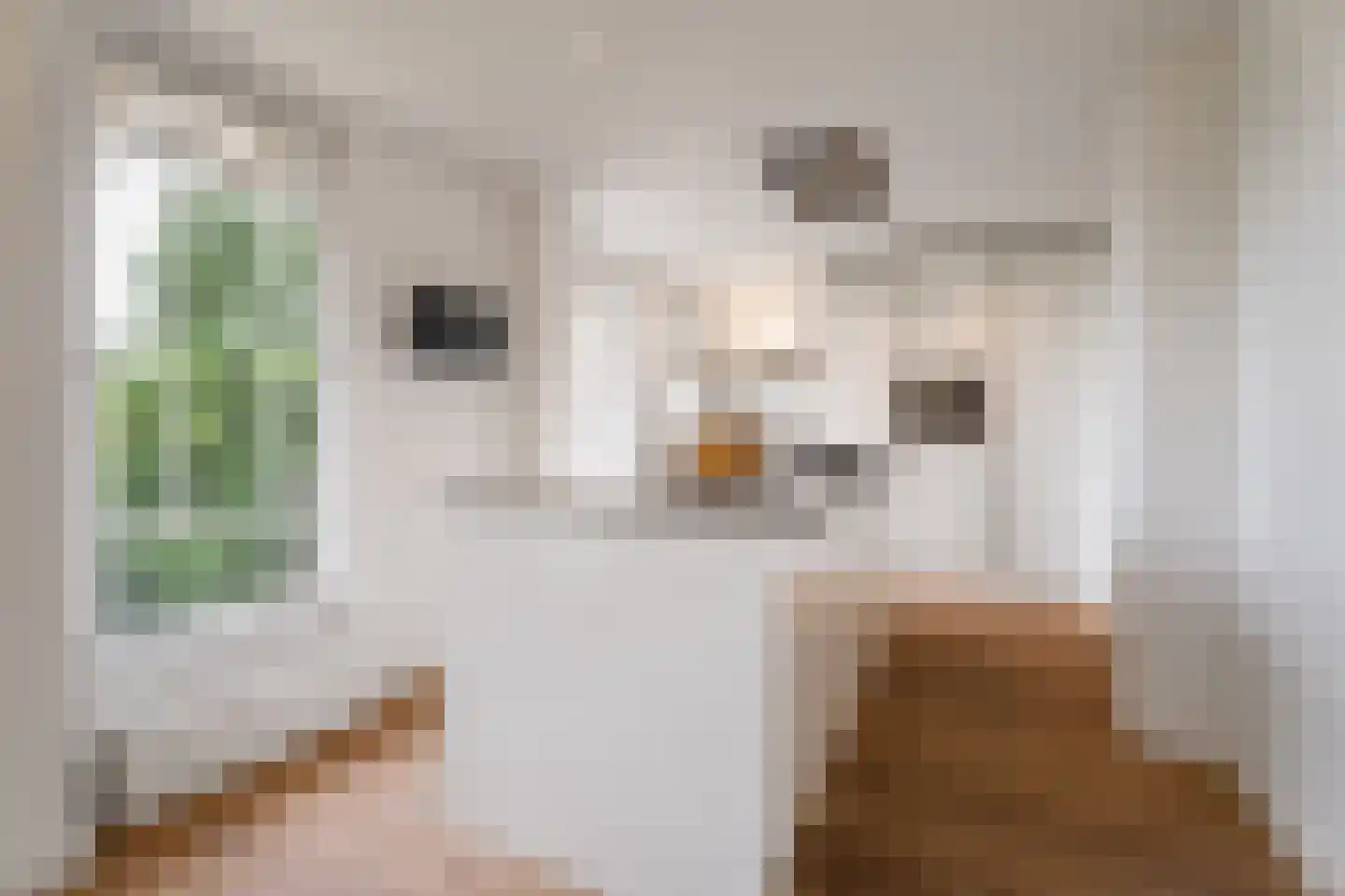 Boeimeerlaan 78 B Breda thumbnail 4