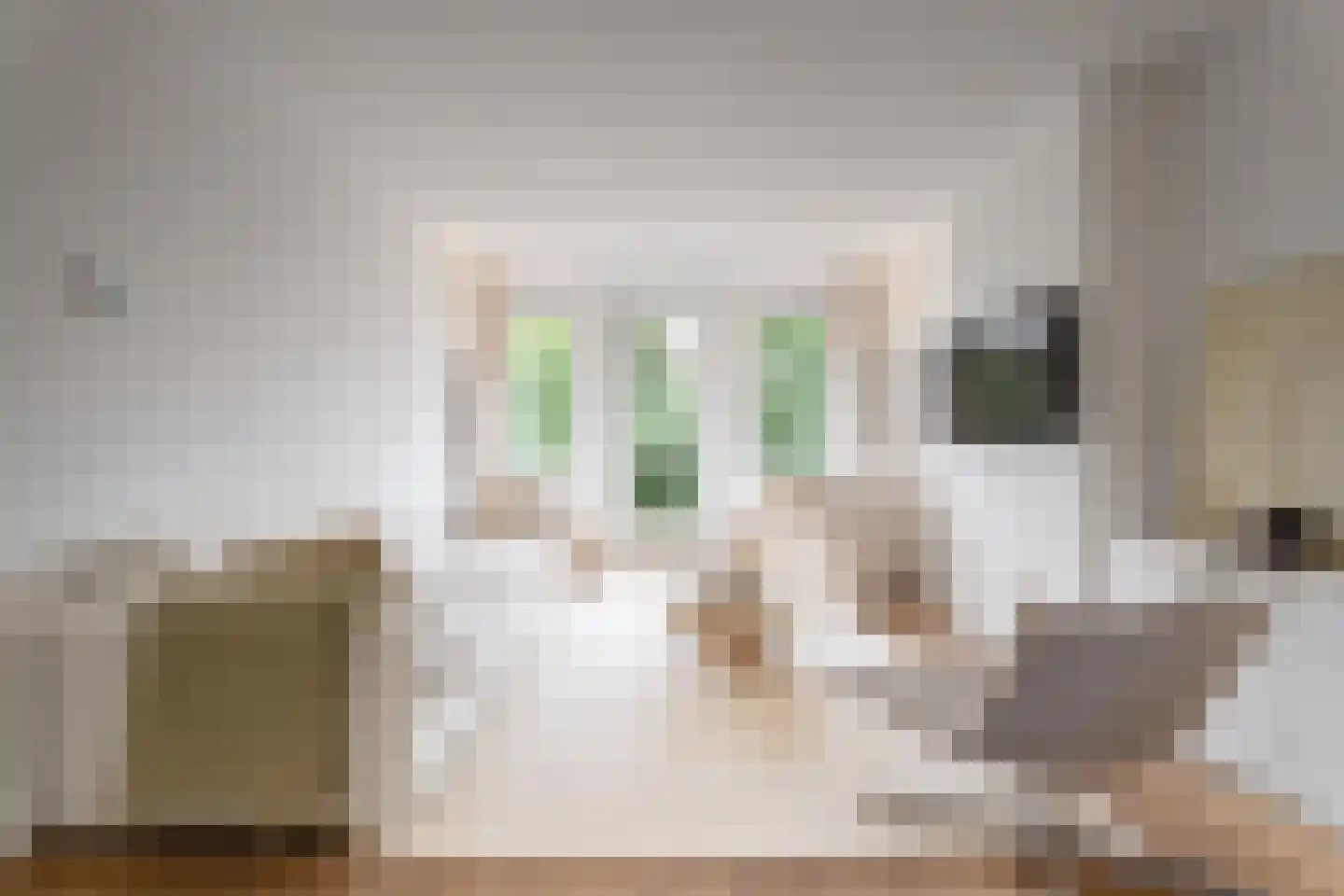 Boeimeerlaan 78 B Breda thumbnail 8