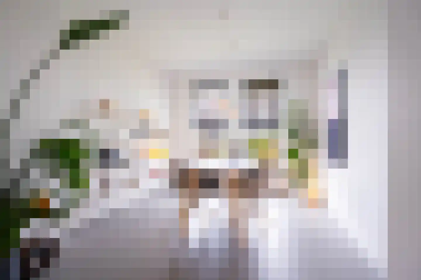 Boeimeerlaan 90 B Breda thumbnail 11