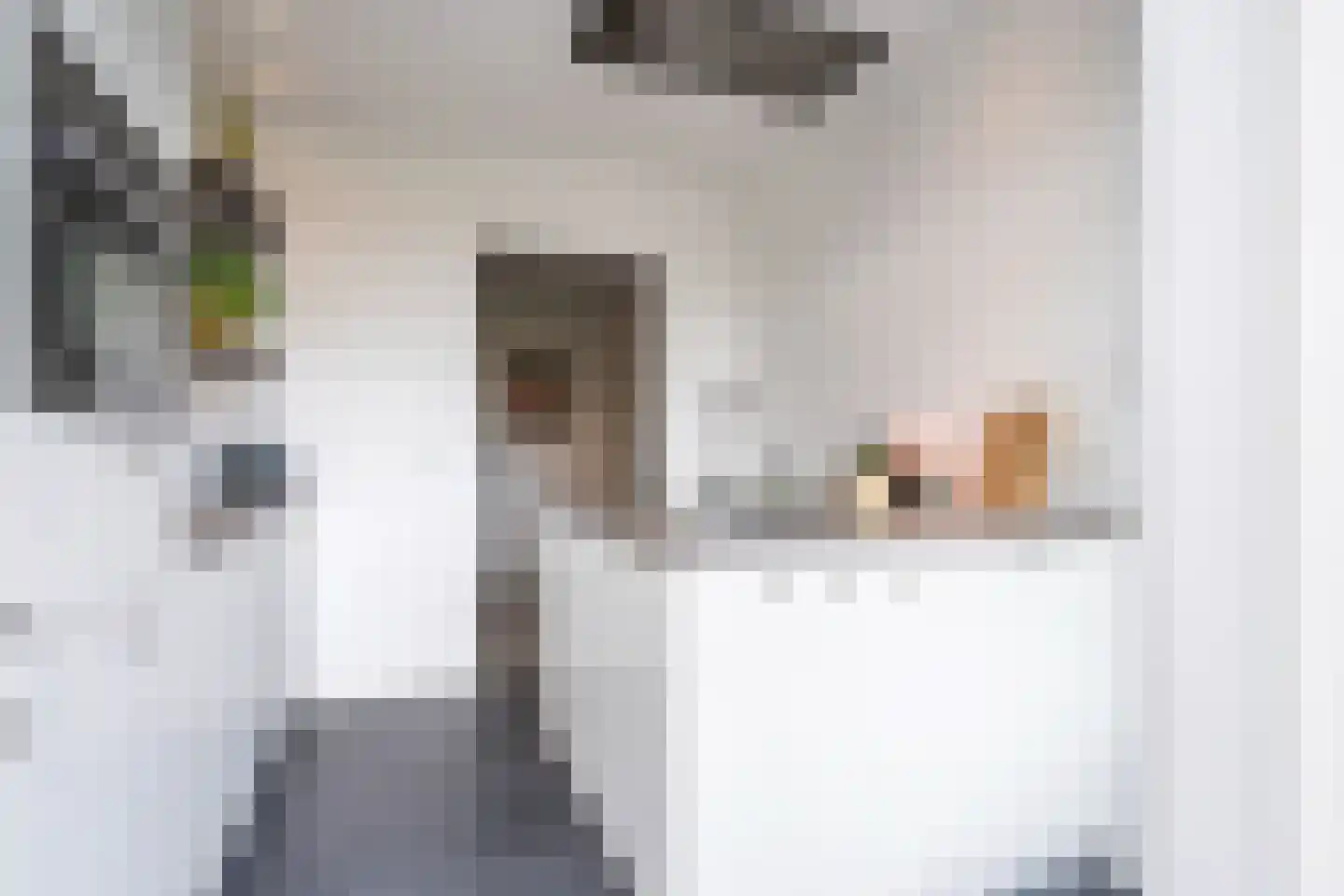 Boeimeerlaan 90 B Breda thumbnail 20