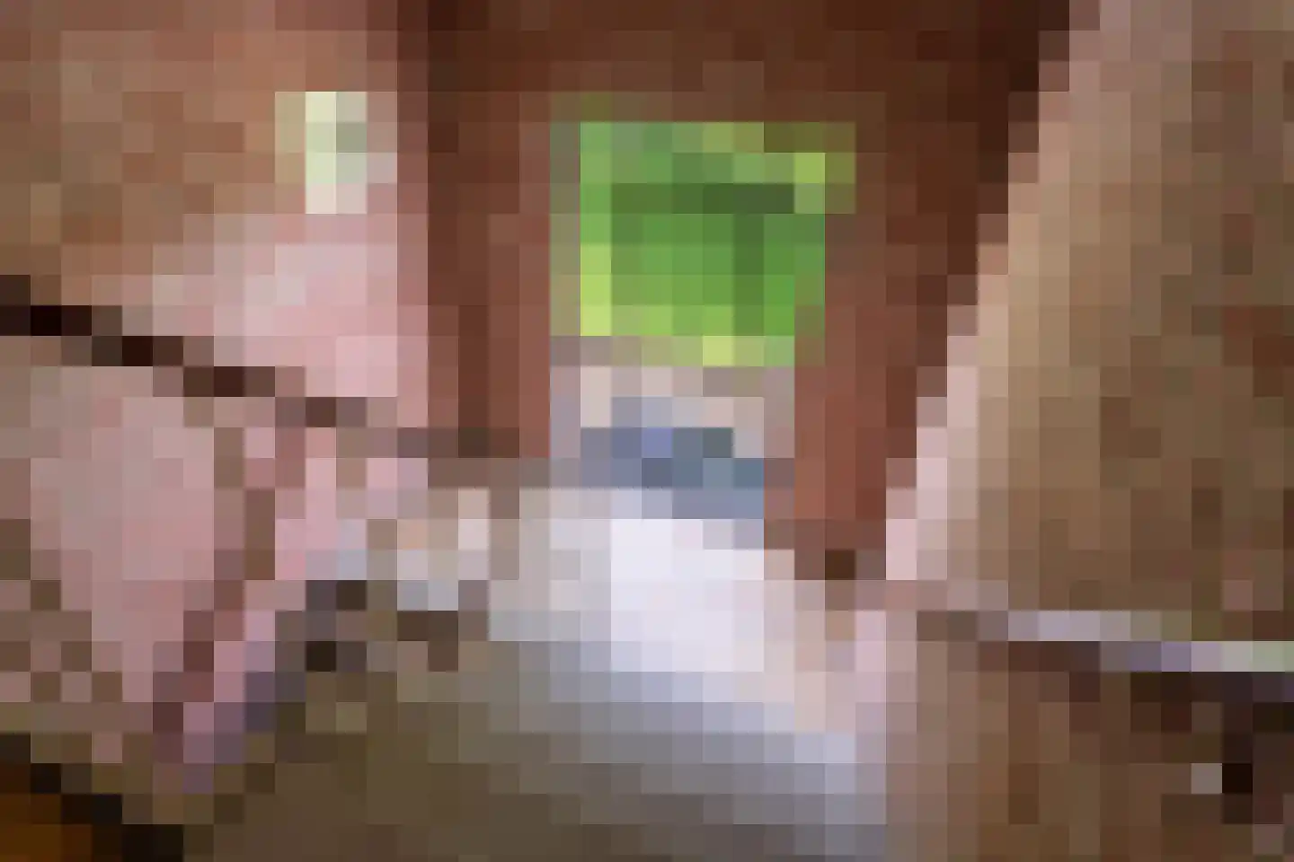 Boeimeerlaan 90 B Breda thumbnail 30
