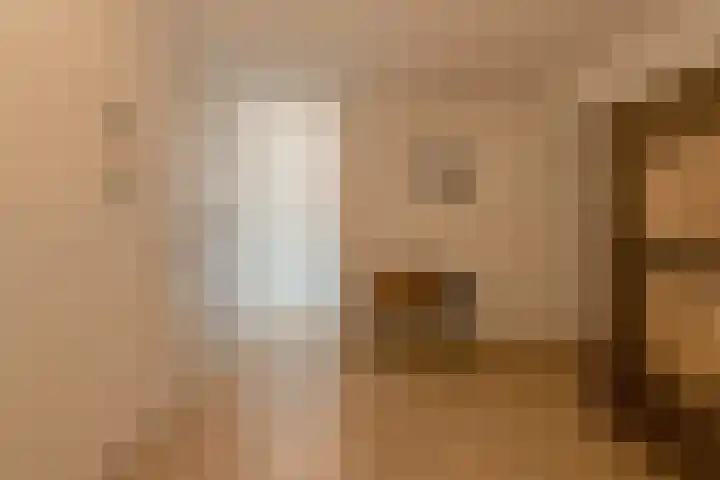 Boeimeersingel 6 A Breda thumbnail 12