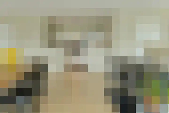 Boeimeersingel 6 A Breda thumbnail 16