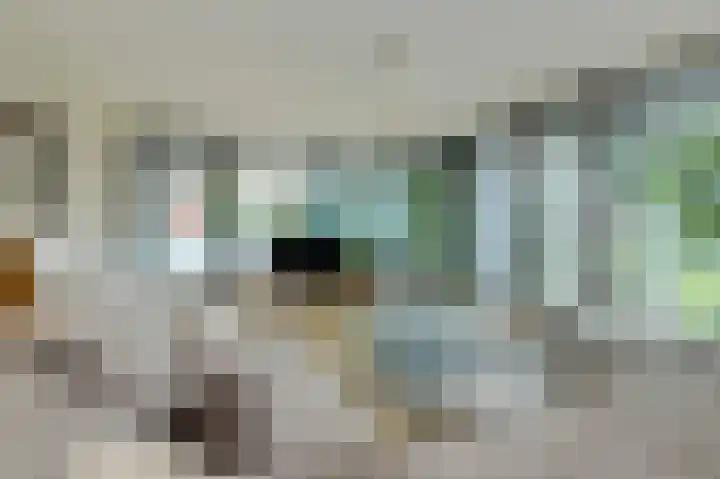 Boeimeersingel 6 A Breda thumbnail 17