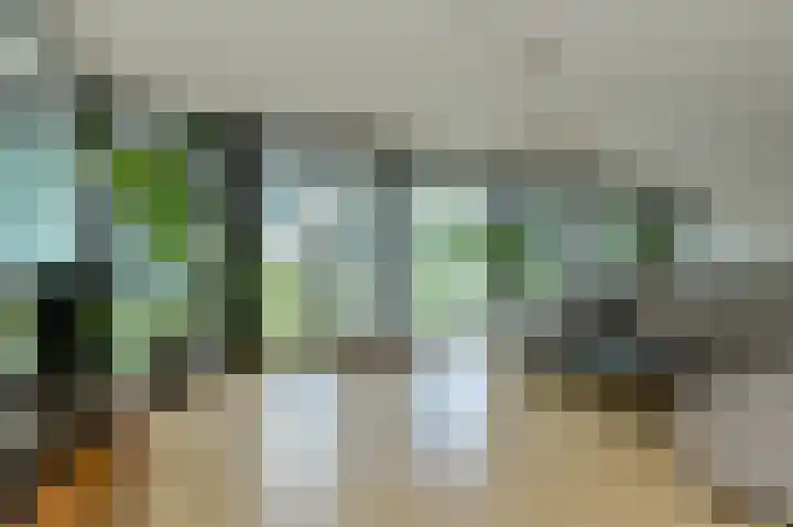 Boeimeersingel 6 A Breda thumbnail 18