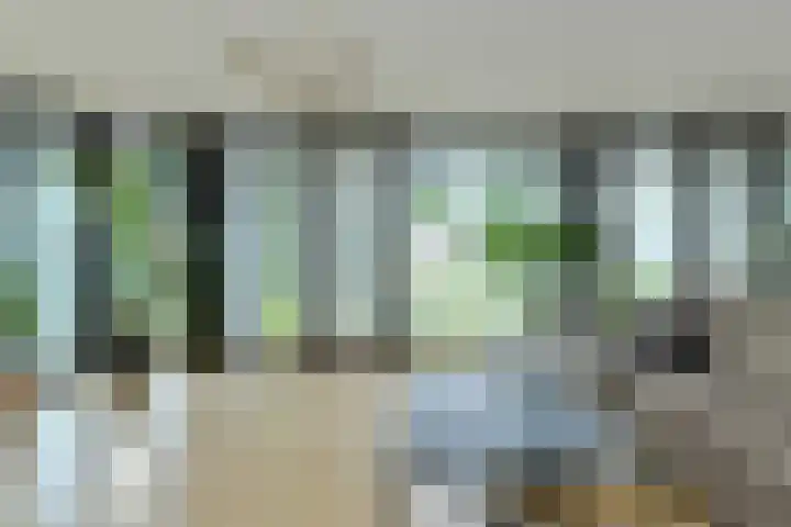 Boeimeersingel 6 A Breda thumbnail 19