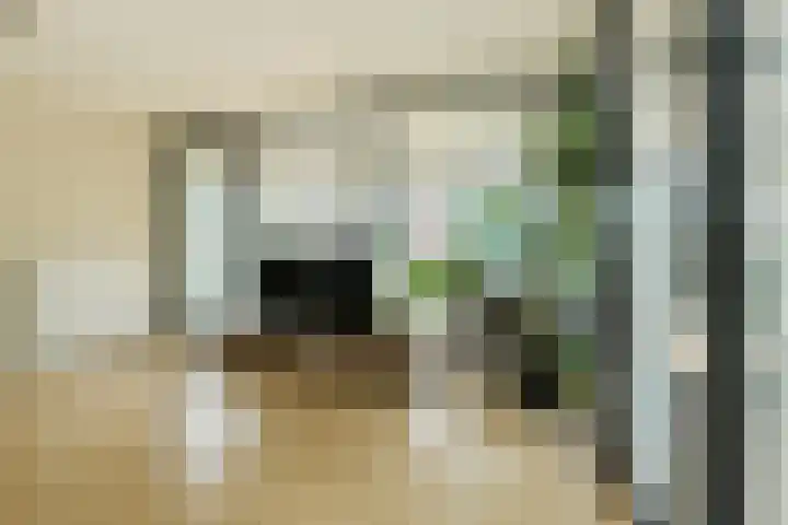 Boeimeersingel 6 A Breda thumbnail 21