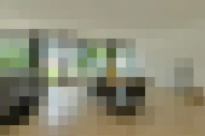 Boeimeersingel 6 A Breda thumbnail 24