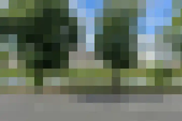 Boeimeersingel 6 A Breda thumbnail 28
