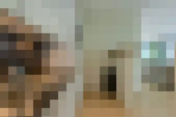 Boeimeersingel 6 A Breda thumbnail 31