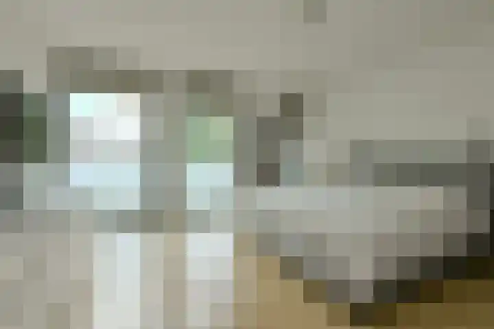 Boeimeersingel 6 A Breda thumbnail 4