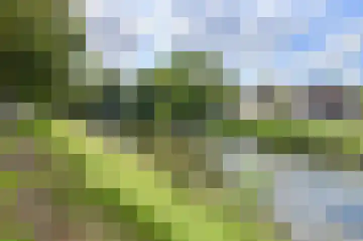Boeimeersingel 6 A Breda thumbnail 42
