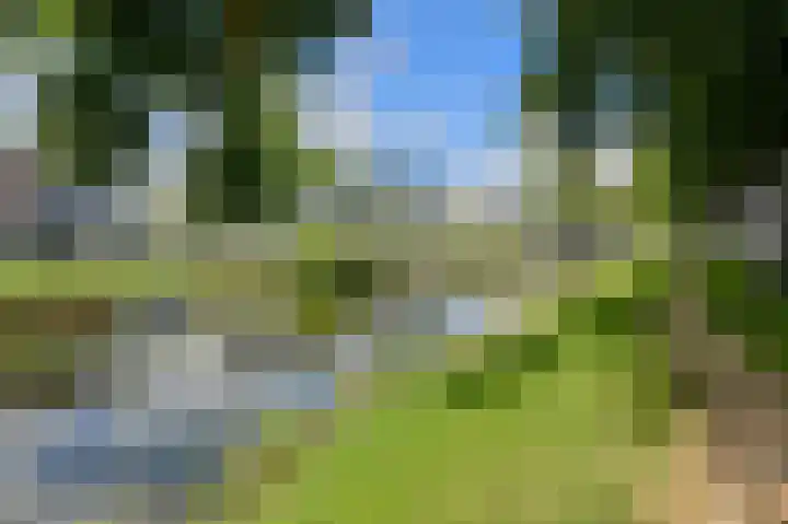 Boeimeersingel 6 A Breda thumbnail 5