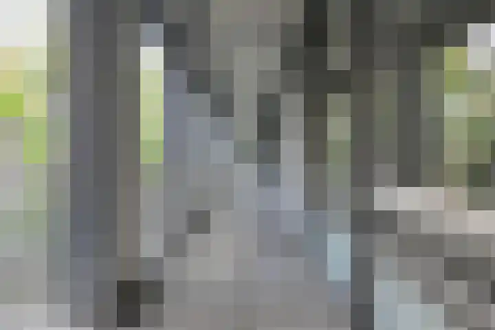 Boeimeersingel 6 A Breda thumbnail 8