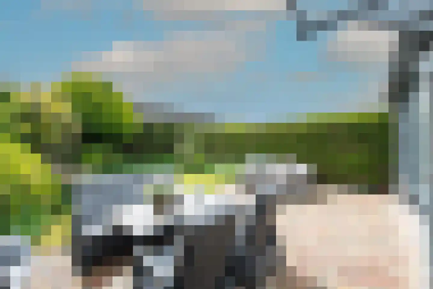 Boeischop 1 De Goorn thumbnail 36