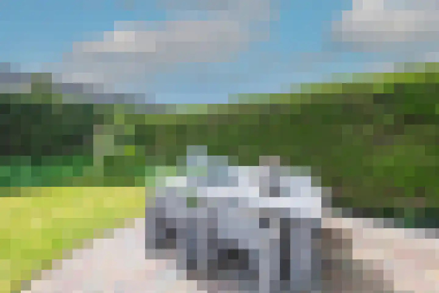 Boeischop 1 De Goorn thumbnail 38