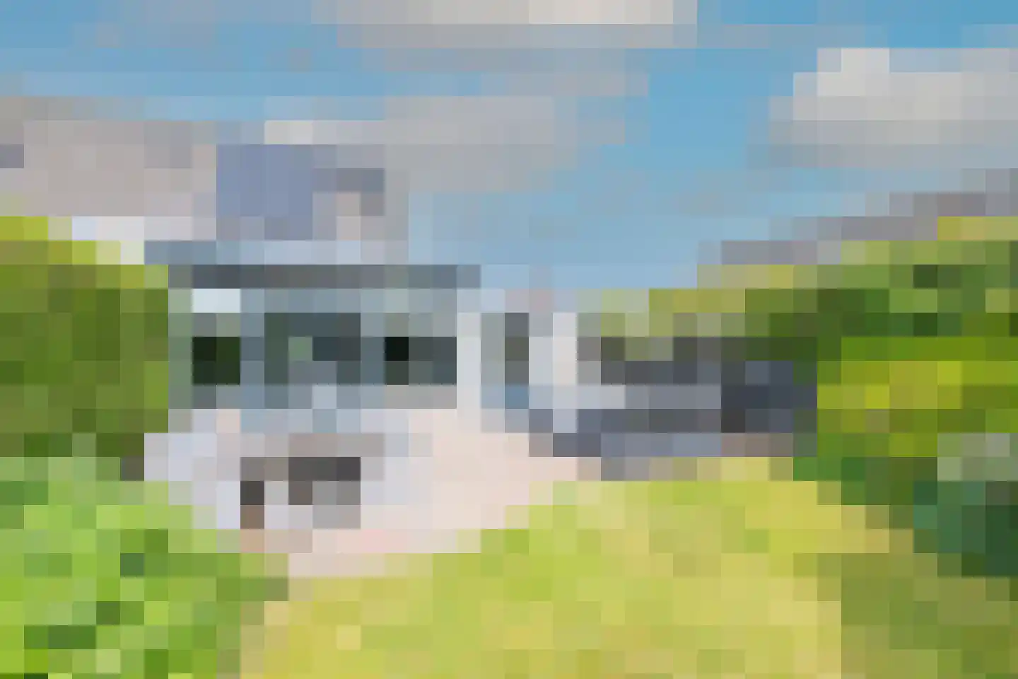 Boeischop 1 De Goorn thumbnail 39