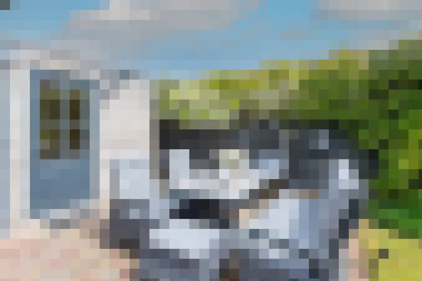 Boeischop 1 De Goorn thumbnail 41