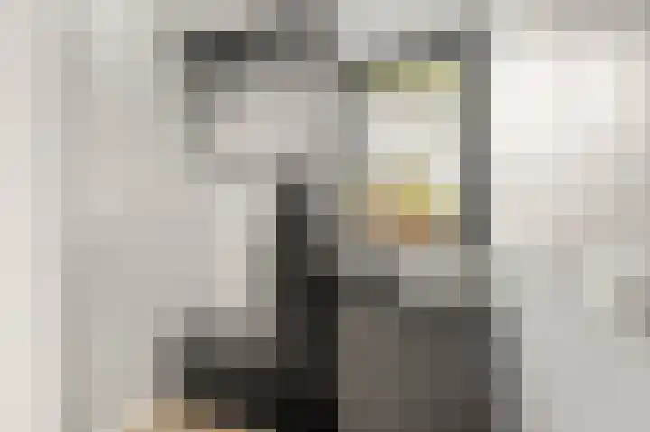 Boekanierlaan 22 Hoofddorp thumbnail 10