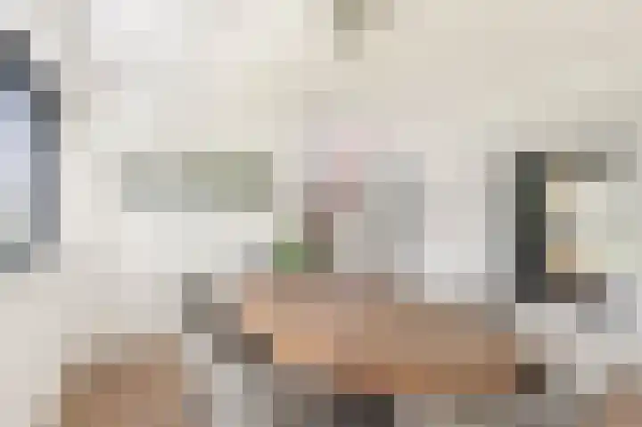 Boekanierlaan 22 Hoofddorp thumbnail 17