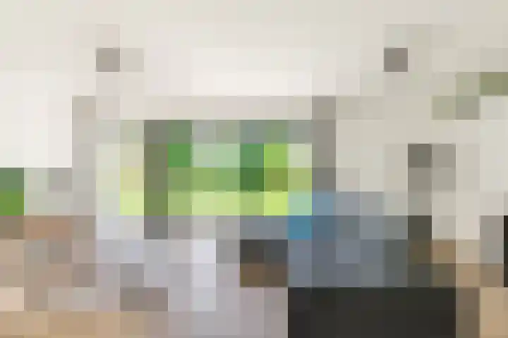Boekanierlaan 22 Hoofddorp thumbnail 27