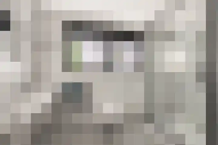 Boekanierlaan 22 Hoofddorp thumbnail 36