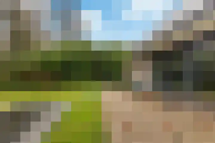 Boekanierlaan 22 Hoofddorp thumbnail 48