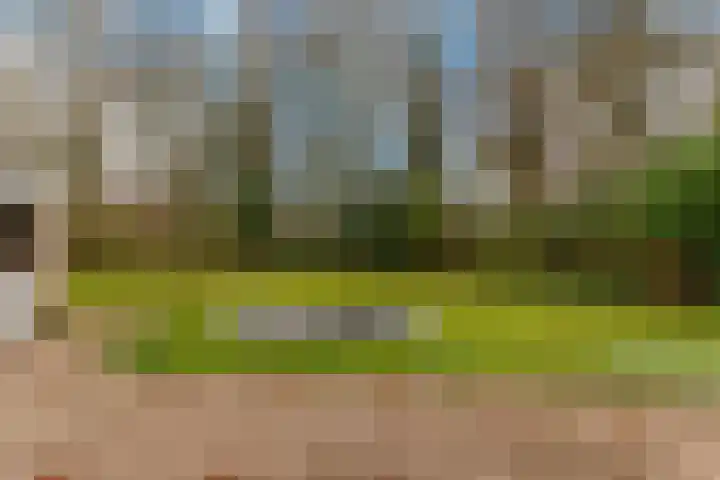 Boekanierlaan 22 Hoofddorp thumbnail 49