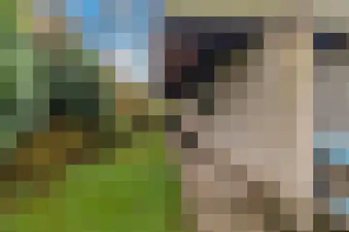 Boekanierlaan 22 Hoofddorp thumbnail 50
