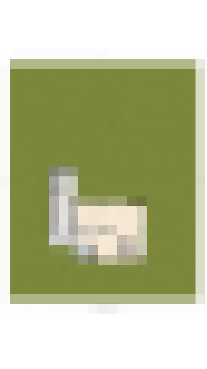 Boekanierlaan 22 Hoofddorp thumbnail 54