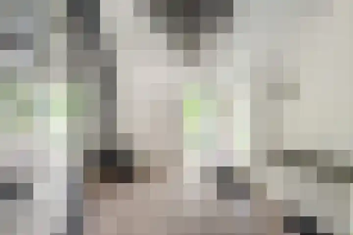 Boekanierlaan 27 Hoofddorp thumbnail 11
