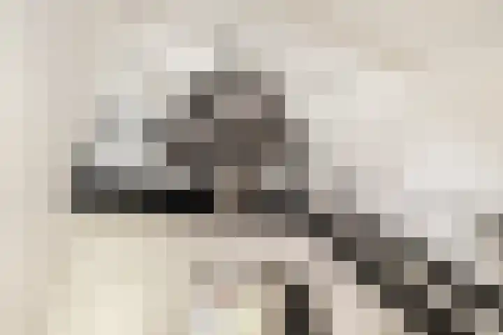 Boekanierlaan 27 Hoofddorp thumbnail 12