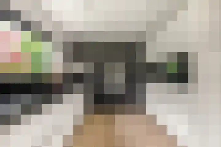 Boekanierlaan 27 Hoofddorp thumbnail 17