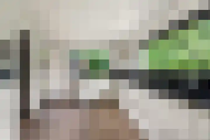Boekanierlaan 27 Hoofddorp thumbnail 19