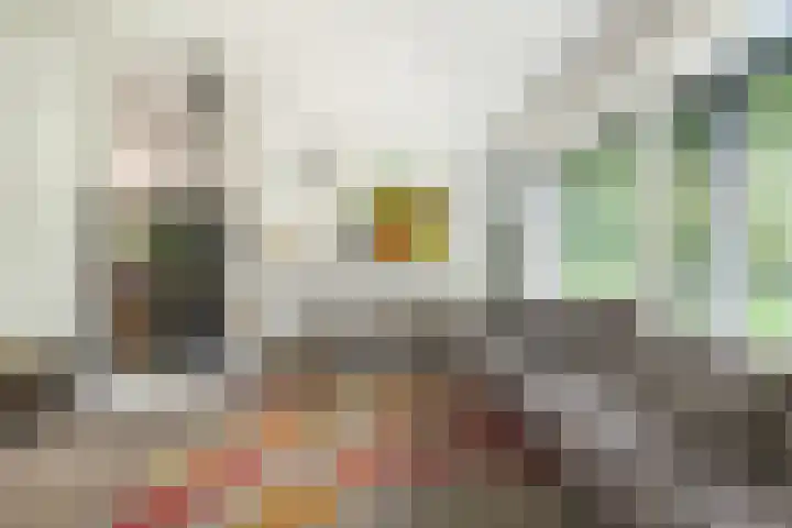 Boekanierlaan 27 Hoofddorp thumbnail 25
