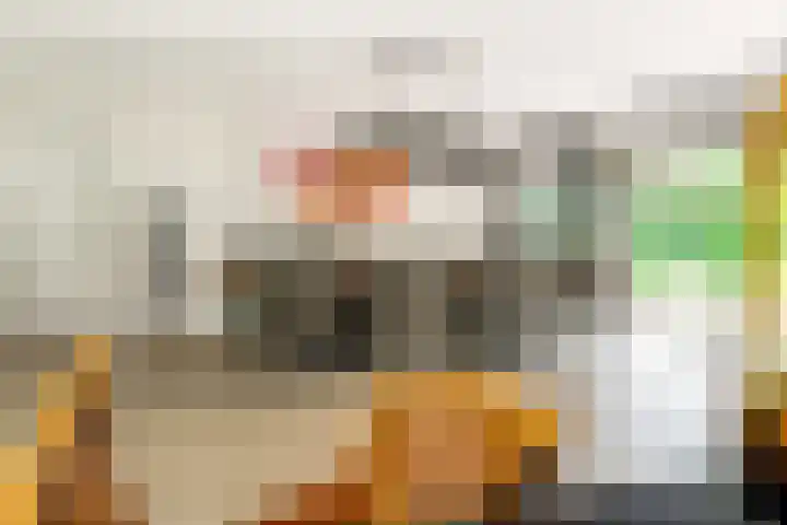 Boekanierlaan 27 Hoofddorp thumbnail 26