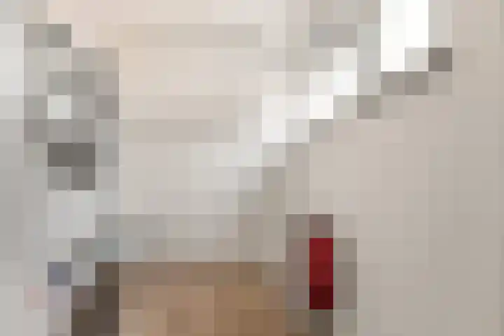 Boekanierlaan 27 Hoofddorp thumbnail 33