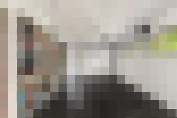 Boekanierlaan 27 Hoofddorp thumbnail 34