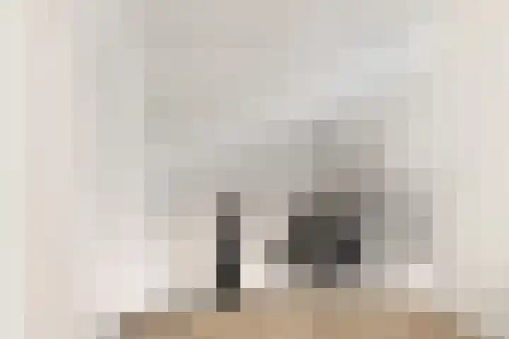 Boekanierlaan 27 Hoofddorp thumbnail 39