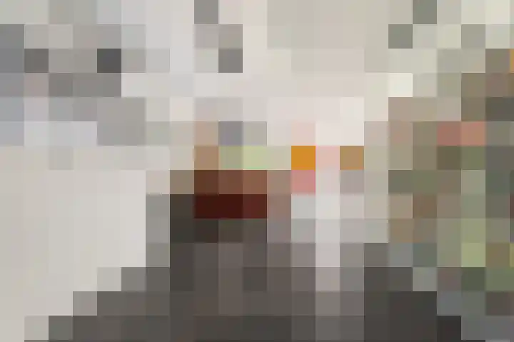 Boekanierlaan 27 Hoofddorp thumbnail 4