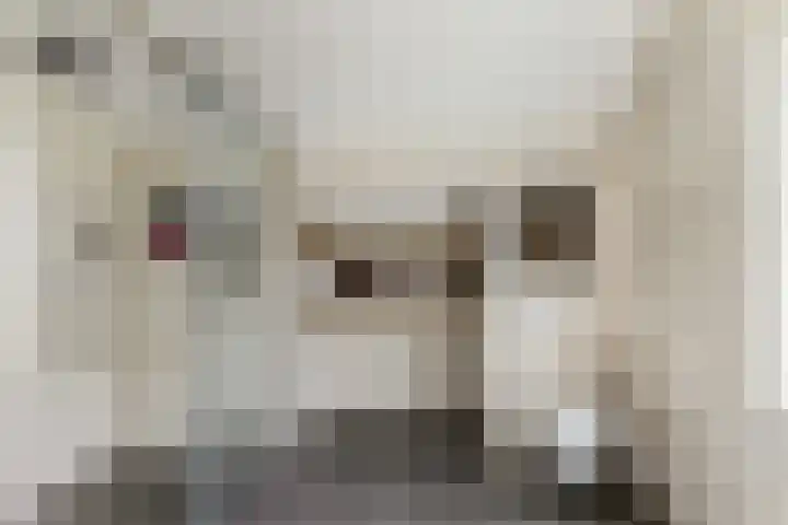 Boekanierlaan 27 Hoofddorp thumbnail 46