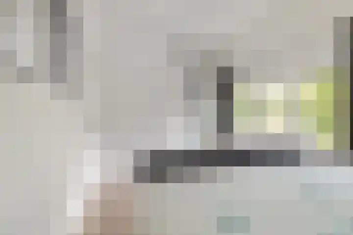 Boekanierlaan 27 Hoofddorp thumbnail 53