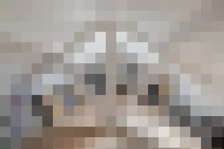 Boekanierlaan 27 Hoofddorp thumbnail 60