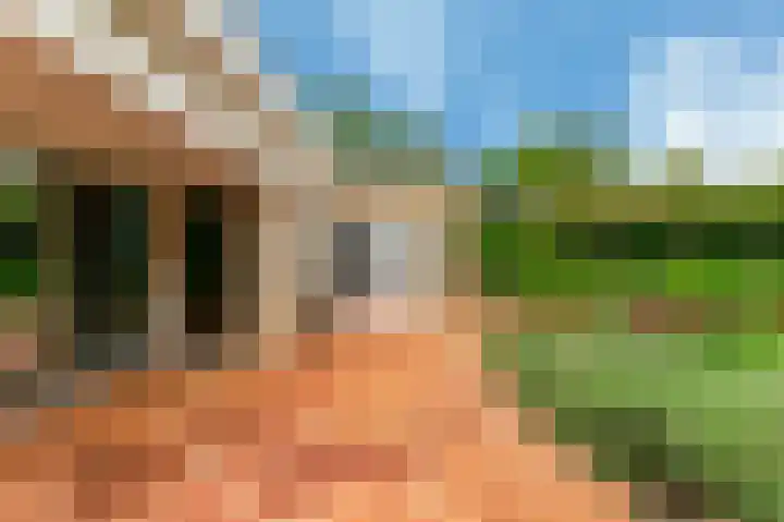 Boekanierlaan 27 Hoofddorp thumbnail 62