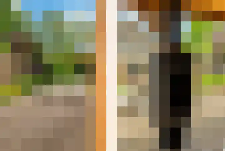Boekanierlaan 27 Hoofddorp thumbnail 68