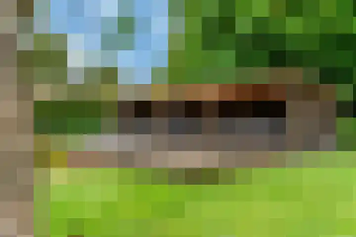 Boekanierlaan 27 Hoofddorp thumbnail 72
